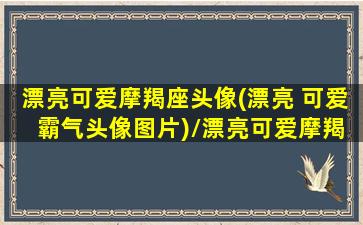 漂亮可爱摩羯座头像(漂亮 可爱 霸气头像图片)/漂亮可爱摩羯座头像(漂亮 可爱 霸气头像图片)-我的网站